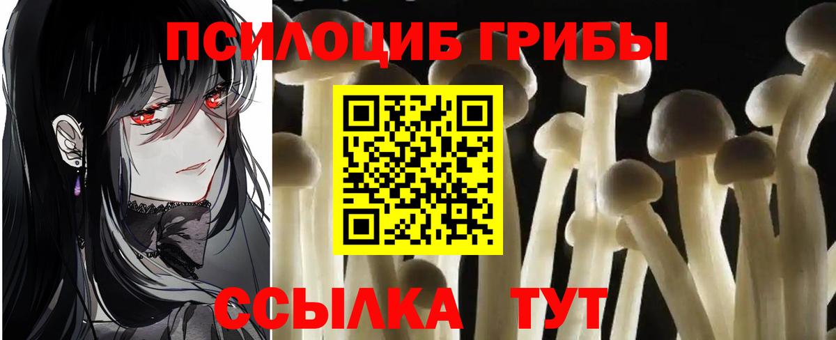 Псилоцибиновые грибы ЛСД  хочу   Учалы  Вход с VPN 